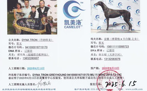 丹纳特龙X麦穗儿 156111110095723.jpg