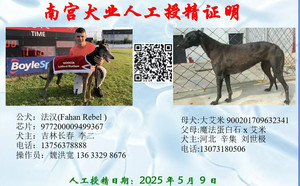 法汉X大艾米 900201709632341.jpg