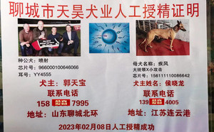 喷射X疾风 NGQX 714A，156111110086642.jpg