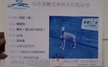 玛丽 156111110095943，J97B