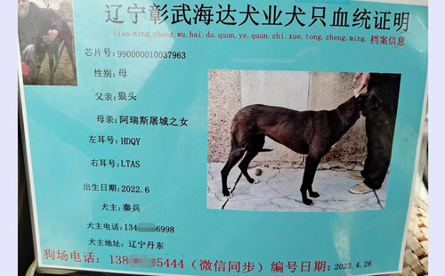 黑狼 990000010037963，HDQYLTAS