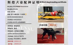 非凡的碰撞X使溢浪花 941000225081011.jpg