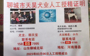 喷射X纯的小鹿990000006890791.jpg