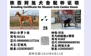 小萝卜丝X可乐 990000006890785.jpg