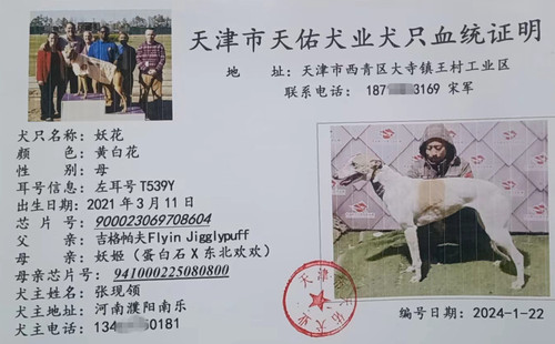 妖花 900023069708604，T539Y