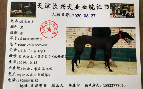 顶点公主 900128001225953，CXDD1910