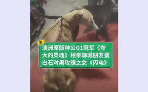夸大的灵魂X闪电 TY341，900250000274532.jpg