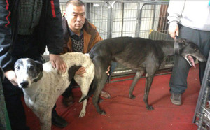 黑色屠城X纯的 Pure Monelli，9557 104D.jpg