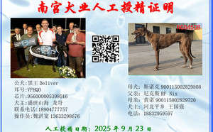 黑王X斯诺克 900115002829808，NGXH1222AB.jpg