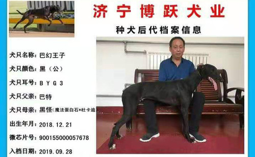 巴幻王子 900155000057678，BYG3