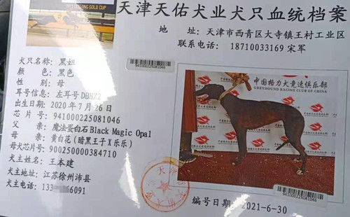黑妞 DBHZ2，941000225081046