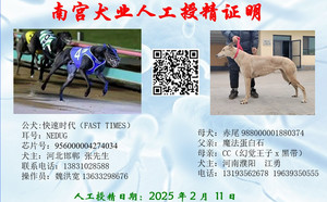 快速时代X赤尾 900219000431178，988000001880374.jpg