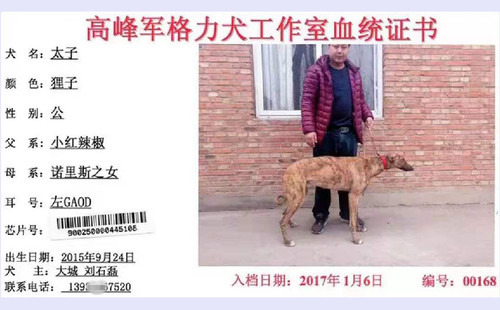 太子 900250000445108，GAOD