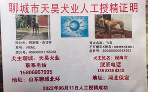 阿斯顿吉甘特X飞鸟 900250000364263，GAOD.jpg