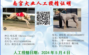 哈瓦那X黄哈利 991001004369972.jpg