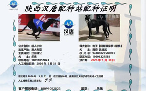 超人小伙子X豹子 941000225080935，BLYT1.jpg