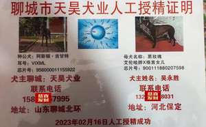 阿斯顿吉甘特X黑玫瑰 NGQX 514C，900111880207598.jpg