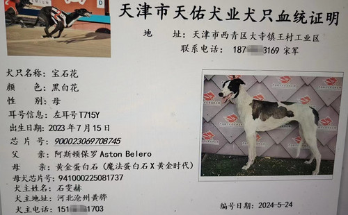 宝石花 900023069708745，T715Y