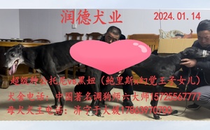托尼X黑妞 900215000388528，0045A.jpg