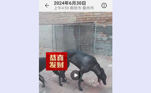 佐罗X魔法侵犯 941000225081660，TY926.jpg