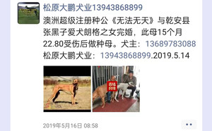 无法无天X梨花片 YY8591.jpg