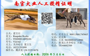 蓝宝石X尼克公主 900115001743665，NGXH1120A.jpg