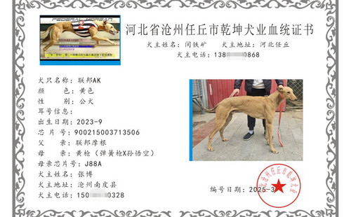 联邦AK 900215003713506