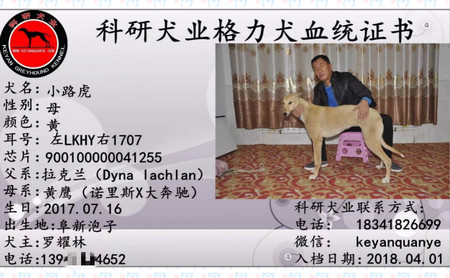 小路虎 900100000041255，LKHY1707