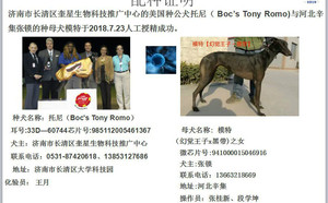 托尼X模特 941000015046916，HJHD.jpg