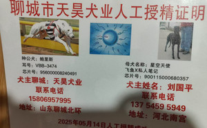 鲍里斯X星空天使 900115000680357，NGXH517A.jpg