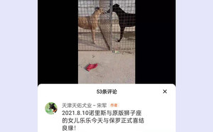 阿斯顿保罗X乐乐 900100000041984，NLSZ1603.jpg