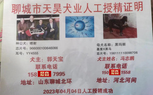 喷射X黑玛丽 156111110098706.jpg