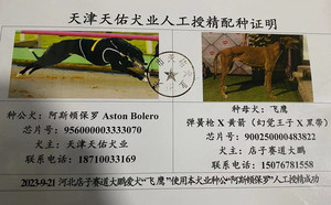 阿斯顿保罗X飞鹰 J65C，900250000483822.jpg