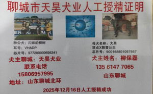 闪烁的柳树X大黑 900168801097667，CXDD2012.jpg