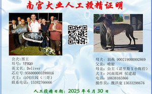 黑王X羽燕 900219000992869.jpg
