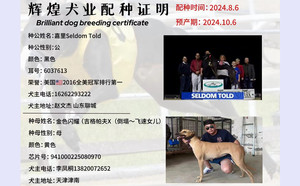 嘉里X天津李凤桐的金色闪耀941000225080970（2024年8月6日配）.jpg
