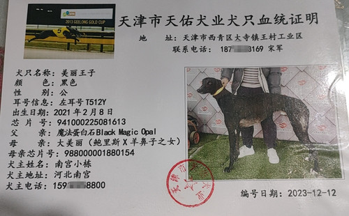 美丽王子 941000225081613，T512Y