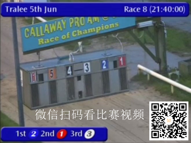 巴利考恩·弗兰克(Ballycowen Frank)以破纪录的方式赢得卡拉威种犬赛冠军