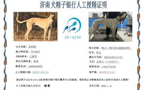 美洲豹X鲍点 900215005131122.jpg