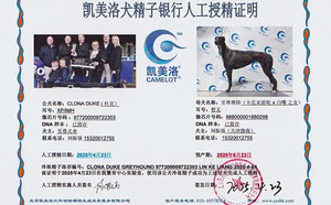 杜克X至尊模特988000001880298.jpg