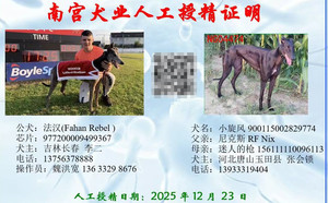 法汉X小旋风 900115002829774.jpg