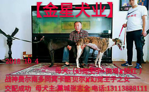 费尔南多X大黑156111110038488.jpg