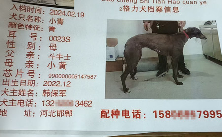 小青 990000006147587