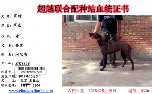 黑特 CY359，900100000037351