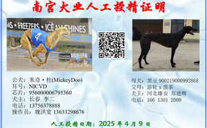 米奇杜X黑豆 900219000992868.jpg