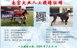 法汉X黑妹 DBHJ7，900201709640125.jpg