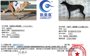 卡尼亚游轮X大妞子 941000016715150.png