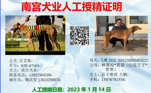 尼克斯X飞鹰 J65C，900250000483822.png