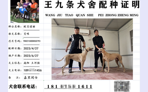 欧宝诺丽X艾咪 CY478，900215000050793.png