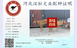 库里X玲玲 941000016715092，900250000105040.png